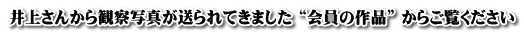 井上さんから観察写真が送られてきました “会員の作品” からご覧ください