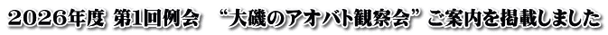 2026年度 第１回例会　“大磯のアオバト観察会” ご案内を掲載しました