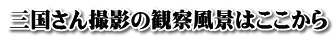 三国さん撮影の観察風景はここから